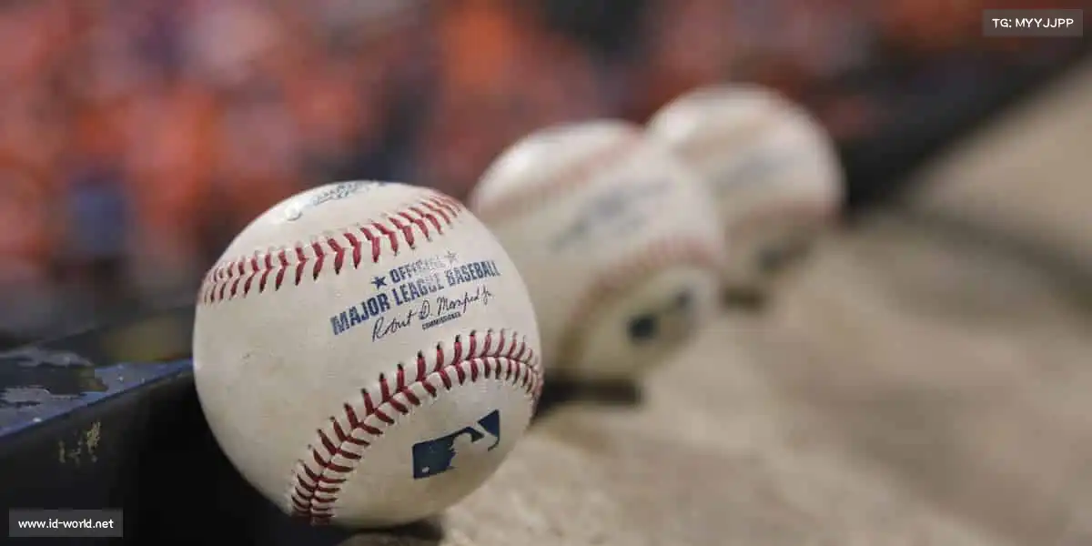 为什么选择我们